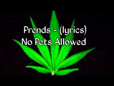 no petsallowed prends.